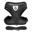 Collar para perros y gatos Ajustable - StreetPet™